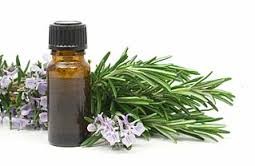 Rosemary Oil