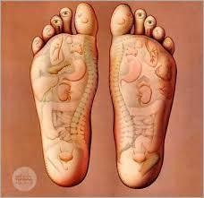 Reflexology