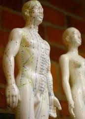 Acupuncture Courses