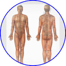 Acupuncture Courses