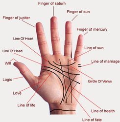 Palmistry