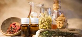 Ayurveda Courses