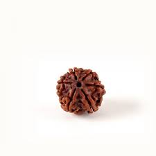 Rudraksha Beads