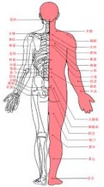 Acupuncture Courses