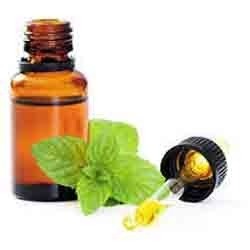 Mentha Oil