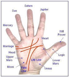 Palmistry