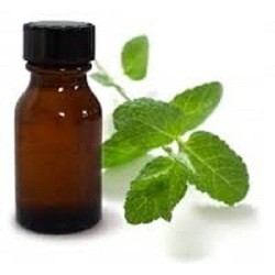 Spearmint Oil