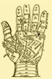 Palmistry