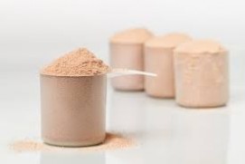 Protein Powder