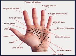 Palmistry