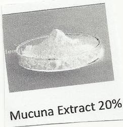 Mucuna Pruriens