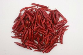 Red chilli