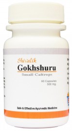 Gokhshuru