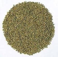 Pear millet (Bajra) 800gm.