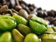 Green Coffee Bean Extract