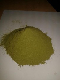 Moringa Extract Powder