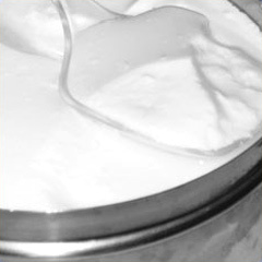 Curd Powder(spray Dried )