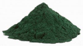 RITS SPIRULINA