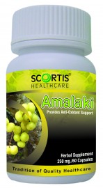 Scortis Amalaki