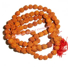 Panch Mukhi Rudraksha Beads & Mala (NTWDRUD-004)