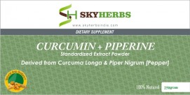 Curcumin + Piperine Extract Powder