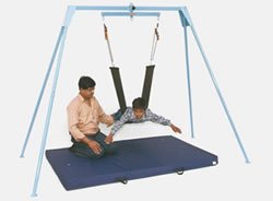 Vestibulator / Swing System