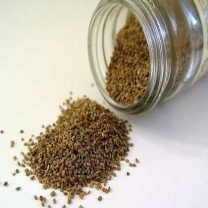 Celery Seed Extract