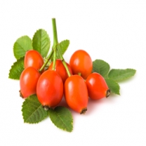 Rosehip Extract Powder