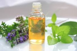 Mentha oil