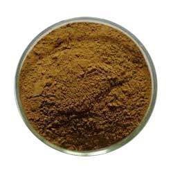 Coleus Forskohlii Extract 10% & 20%