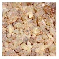 Salai Guggul Extracts (Boswellia Serrata)