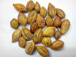 Harda Extracts (Terminalia Chebula)