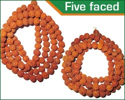 Rudraksha Beads