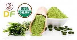 Wheatgrass Powder