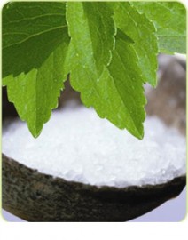 Stevia Stevioside Powder