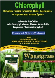 ORGANIC  WHEATGRASS