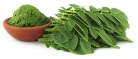 Moringa ( Moringa oleifera extract )