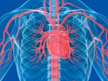 Ischemic Heart Disease