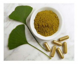 Gymnema Sylvestre Leaf Extract 25% & 75%