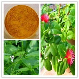 Andrographis Extract