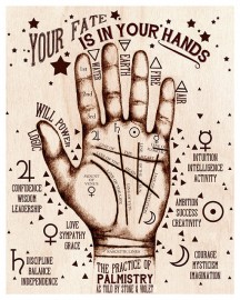 Astrology Palmist