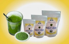 BARLEY GRASS POWDER