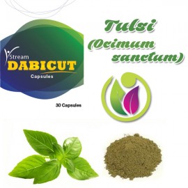 Tulsi ( Ocimum Sanctum) Medicine