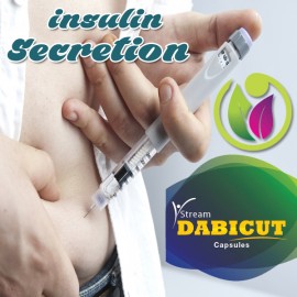 Insulin Secretion Medicine