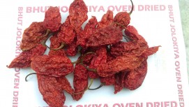 Bhut Jolokia pepper