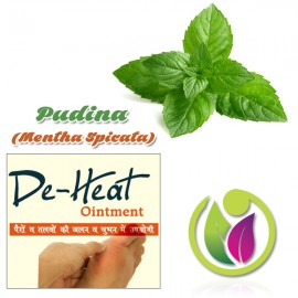 Pudina (Mentha Spicata)