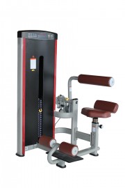 LY-0910 Lower Back & Abdominal Machine