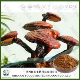 China Herbal extract 10% reishi polysaccharides ganoderma lucidum extract Supplier