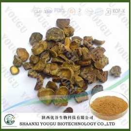 Natural corydalis yanhusuo extract /Rhizoma Corydalis Extract/tetrahydropalmatine 98%