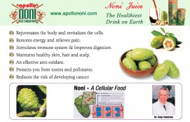 Noni Juice Health Drink Manufacturer, Suppliers from India